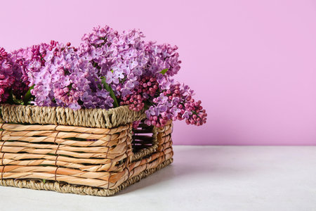 Basket with blooming lilac branches on table against pink backgroundの写真素材
