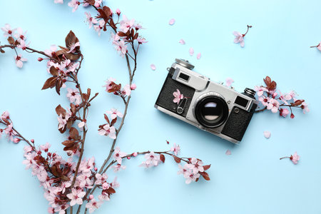 Blooming tree branches with pink flowers and photo camera on blue backgroundの写真素材