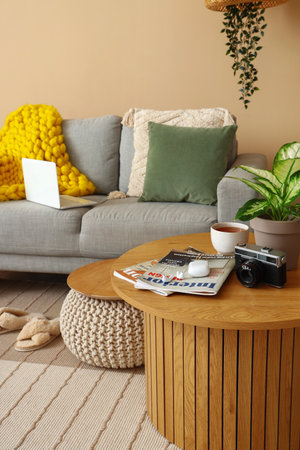 Interior of cozy living room with gray sofa and coffee tableの写真素材