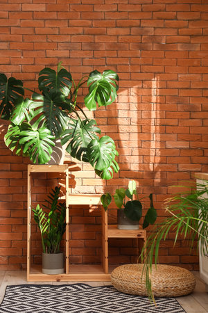 Interior of bathroom with shelf and Monstera houseplantの写真素材