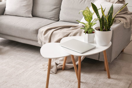 Green houseplants with laptop on table in living roomの写真素材