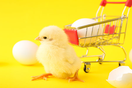 Shopping cart with cute little chick and eggs on yellow backgroundの写真素材