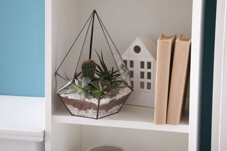 Bookshelf with florarium near blue wall in room, closeupの写真素材