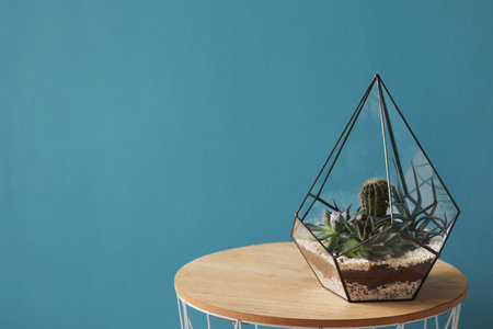 Florarium on table near blue wallの写真素材