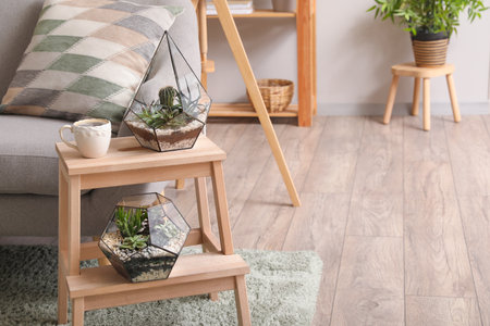 Florariums with cup of coffee on stepladder in living roomの写真素材