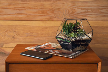 Florarium with magazine and mobile phone on table near wooden wallの写真素材