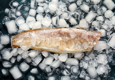 Raw codfish with ice cubes on dark background