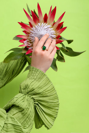 Hand of young woman wearing stylish ring with protea flower near green wallの写真素材