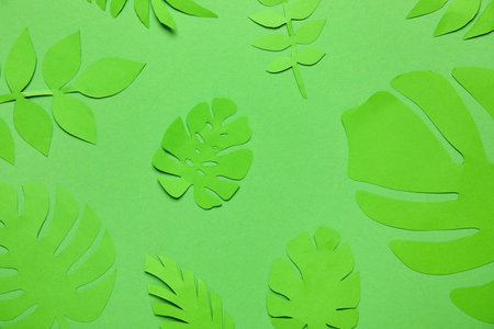 Tropical leaves on green background