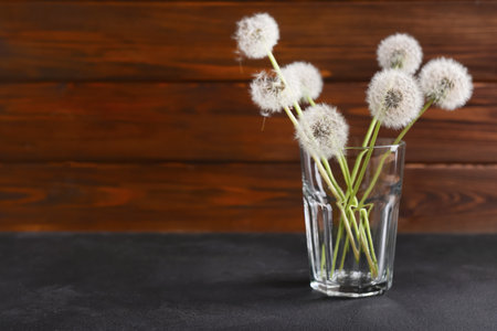 Glass with white dandelion flowers on dark table against wooden backgroundの写真素材
