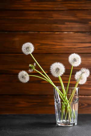 Glass with white dandelion flowers on dark table against wooden backgroundの写真素材