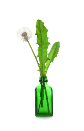 Bottle with dandelion flower and leaves on white backgroundの写真素材