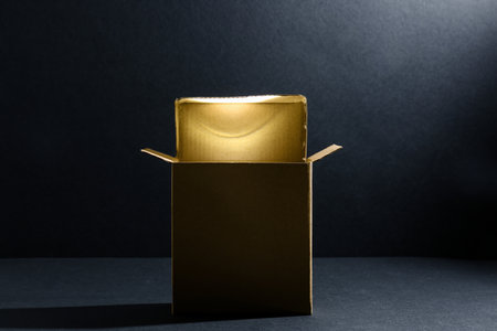 Camera flash in box on black backgroundの写真素材