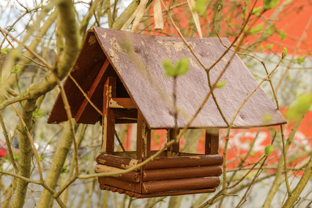 Wooden bird house on street, closeupの写真素材
