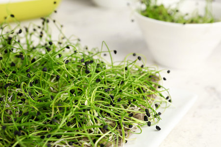 Plate with fresh micro green on table, closeup