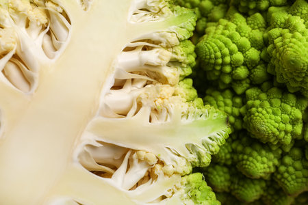 Cut romanesco cabbage as background, closeupの写真素材