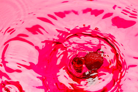 Falling of ripe raspberry into red juiceの写真素材