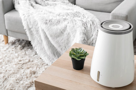 Modern humidifier and houseplant on table in interior of living room