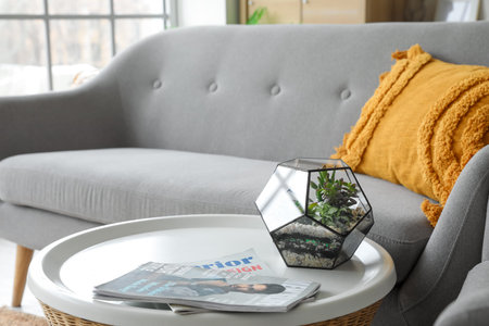 Florarium with magazines on table in living roomの写真素材