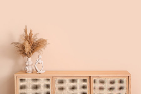 Modern chest of drawers with pampas grass near beige wall in roomの写真素材