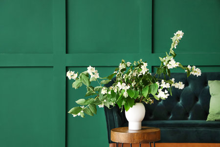 Vase with blooming jasmine flowers on coffee table and sofa near green wallの写真素材