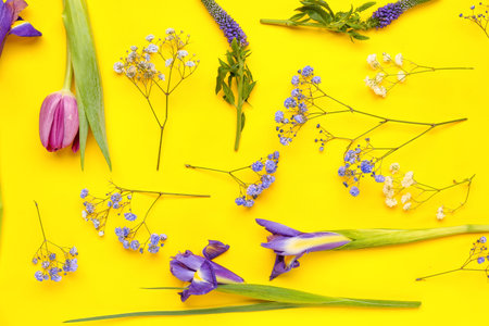 beautiful flowers on yellow background