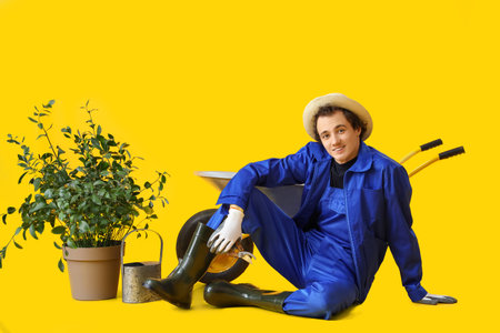Male gardener with secateurs, wheelbarrow and plant on yellow backgroundの写真素材
