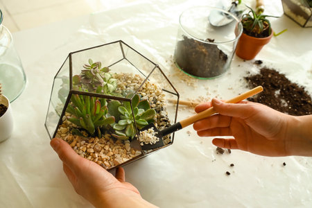 Woman making florarium on table at home, closeupの写真素材