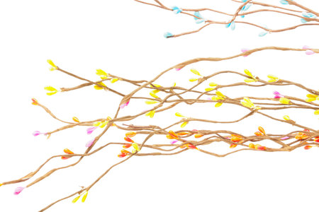 Decorative plant branches on white background, closeupの写真素材