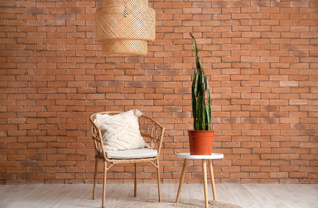 Cozy armchair and big cactus in pot near brown brick wallの写真素材