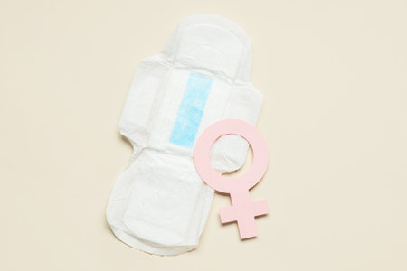 Composition with menstrual pad and woman symbol made of paper on light backgroundの写真素材