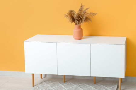 White chest of drawers with pampas grass near orange wall in roomの写真素材