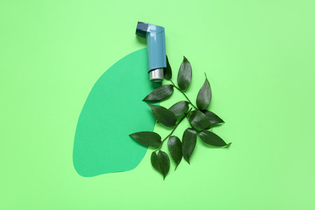Paper lungs with leaves and asthma inhaler on green backgroundの写真素材