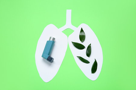 Paper lungs with leaves and asthma inhaler on green backgroundの写真素材