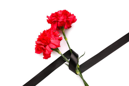 Two red carnations and black ribbon on white backgroundの写真素材