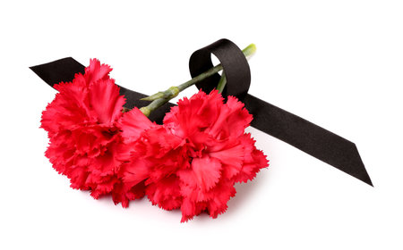Two red carnations and black ribbon on white backgroundの写真素材