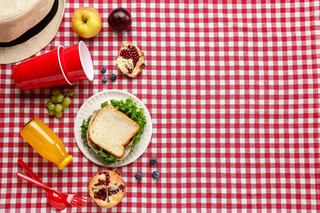 Paper plate with tasty sandwich, juice and plastic tableware on fabric backgroundの写真素材