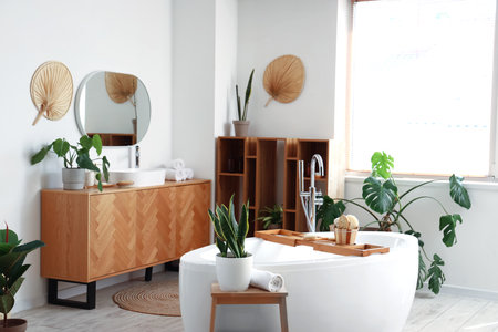 Interior of bathroom with bathtub and massage brushesの写真素材