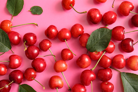 Many sweet cherries and leaves on pink backgroundの写真素材