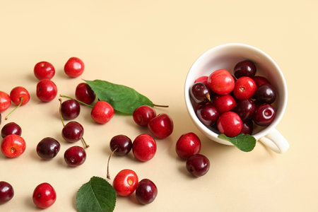 Cup with sweet cherry and leaves on beige backgroundの写真素材