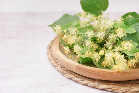 Wooden plate with branches of linden flowers on light backgroundの写真素材