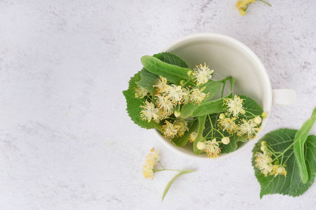 Cup of fresh linden flowers on light backgroundの写真素材