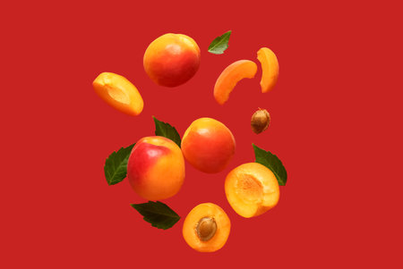 Flying fresh apricots with pieces and leaves on red backgroundの写真素材