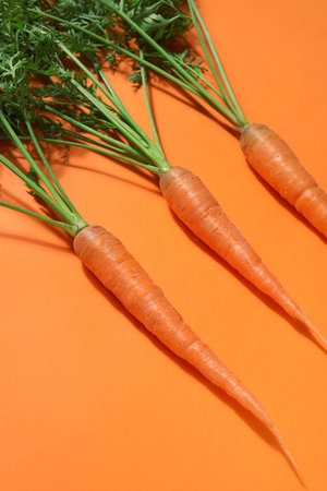 fresh carrots with leaves on orange backgroundの写真素材