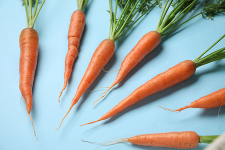 fresh carrots with leaves on blue backgroundの写真素材
