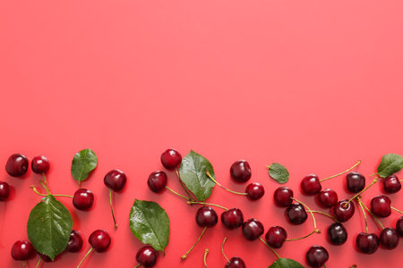 Many sweet cherries and leaves on red backgroundの写真素材