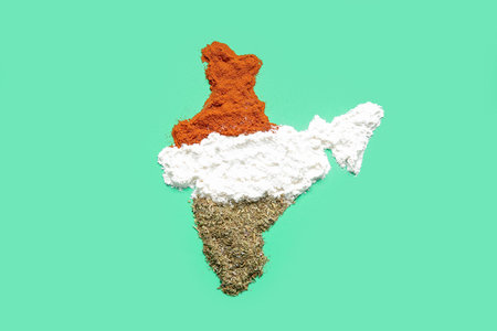 Indian continent made of spices on green backgroundの写真素材