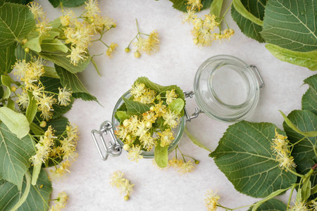 Glass jar with fresh linden flowers on light backgroundの写真素材