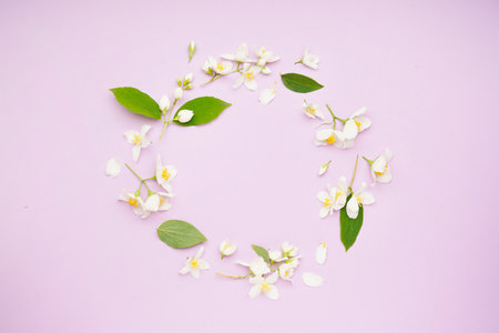 Frame made of beautiful jasmine flowers on lilac backgroundの写真素材