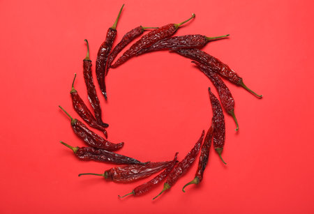 Frame made of dry chili peppers on red backgroundの写真素材